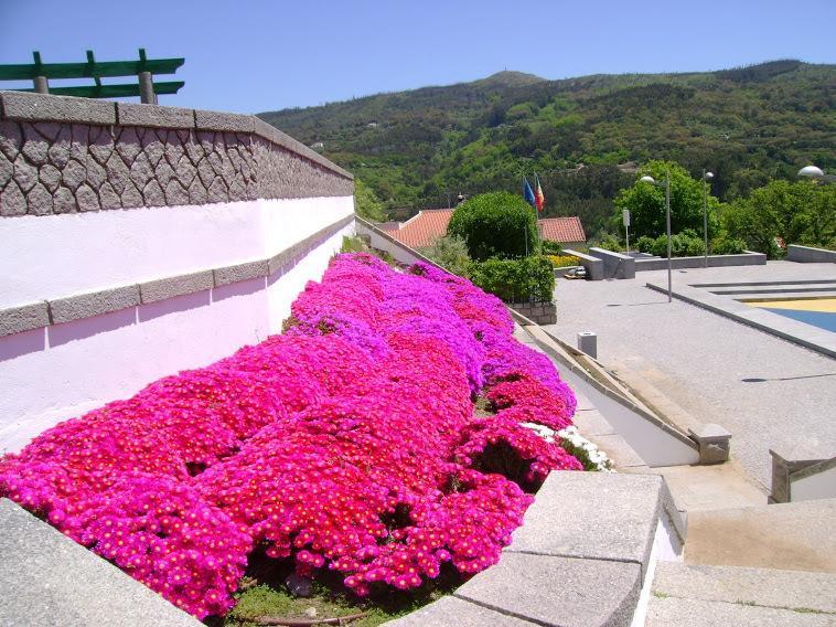 Miradouro Da Serra Monchique Exteriér fotografie